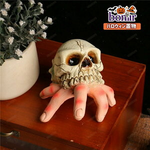 hN hJ` nEB [ nh fBXvC u XPg SVbN u  u  i  킢 X܏ p[eB[ObY JtF G  