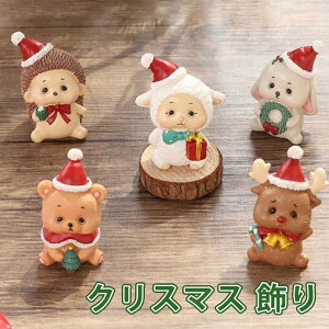 NX}X  NX}Xu NX}XI[ig T^N[Xl` giJC Ⴞ  CeA fR[V j  v[g Mtg Cxg a