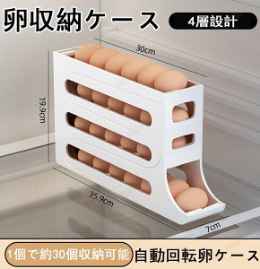 [P[X 4w݌v 24 P[X  ①Ɏ[ ܂P[X [OGbORei ܂[ ۑe p ̗e fBXyT[ یP[X o