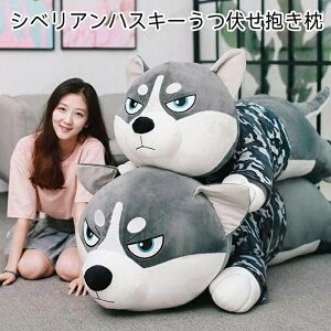 ʂ nXL[   Hc Č v[g 蕨 傫 o^Cf[ a  JCC @NX}X v[g nX^[@˂ ʂ