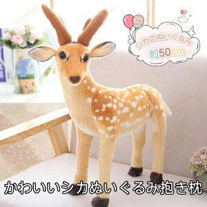 VJ ʂ   ʂ VJ A  VJƑ ʂ j v[g ObY ʔObY NX}Xv[g oYj a v[