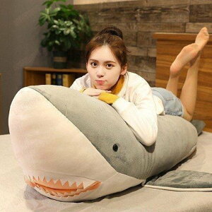  TD 160cm ӂӂ L ʂ Cm 킢 􂦂 YQ Q  a Mtg D u[