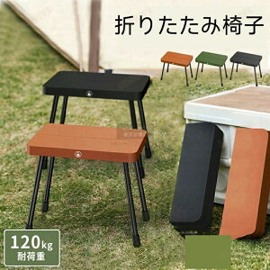 ܂肽݈֎q Lv`FA y ω׏d100kg gю RpNg[ AEghA sNjbN ނ X|[cϐ ȈՐ܂ A~r ^x` nCLO K[fjO  C 