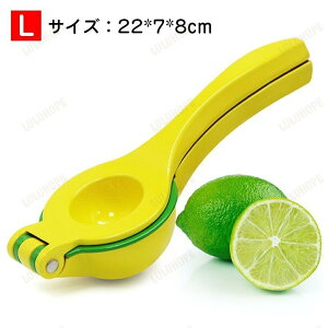 蓮 t[cʏ` in  ƃCJb^[ IWW[T[ i O[vt[ci kވ nhW[T[ A~ i lC V