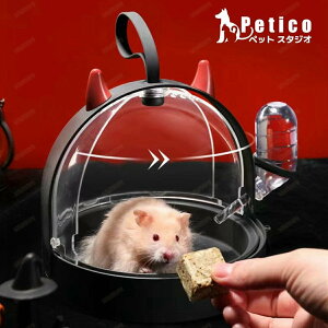 K o o OopobO nX^[  t L[ P[X nX^[L[P[X ʋC ybg y  o| P[W U o 