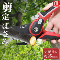 楽天市場】ショップジャパン 枝切マジックの通販