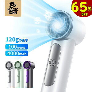 yN[|1,904~EX[p[SALEzy120g̏ՌE~jEfz2025 nfBt@ ^ 莝@ 4000mAh e 100iK MAGIC JOHN @ 啗 nfB@ ~j 