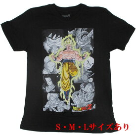 CHARACTER PANELS 黒【USA版 ドラゴンボールZ 悟空 17号 18号 セル フリーザ Tシャツ ドラゴンボールTシャツ】S M Lサイズ ネコポス発送 マジックナイト DB90554