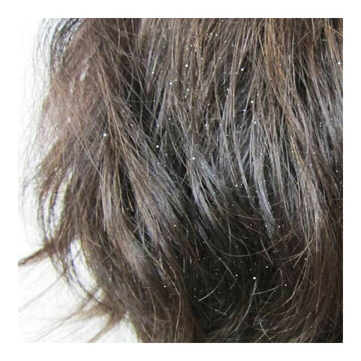 楽天市場 ヘアーグリッターラメスプレー シルバー ハロウィン 仮装用 パーティやコスプレに 祭頭祭の染髪に 便利で簡単 銀色ラメ入りスプレー 小型宅配便発送 マジックナイト Rj ハロウィン仮装 マジックナイト