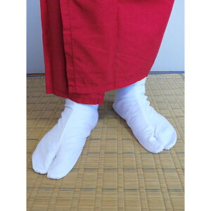  MTCY 24`26cmΉy  ƃt@Xi[dl ㌀ ŋ  nEB  RXv ߑ  _    ] ȒP Ȉ j z`O1p270~ }