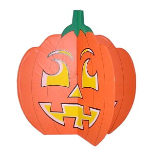 [pvL W55×H50cmynEB  t J{` fBXvC pvL  fR[Vz}WbNiCg RB5143