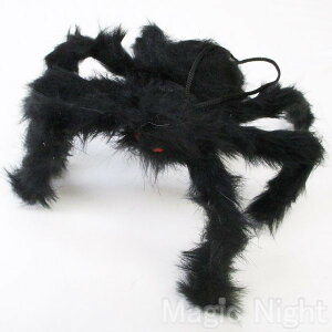 20hubNXpC_[ with Jewel EyesynEB  N XpC_[ t  w fBXvC uz`O1p450~ }WbNiCg RB1903