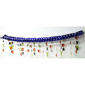 V[OfR nEB pvL 2.4mynEB fR[V ݂ fBXvC pz}WbNiCg EP6110