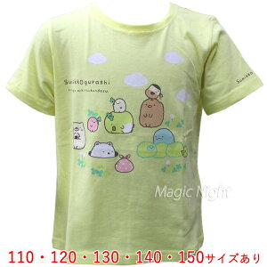 ݂R TVc KIDS CG[y݂R炵 qp LbY ̎q TVc zlR|X }WbNiCg SGKD3896Y