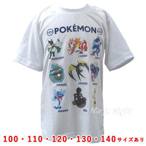 |PTVc pfA |PfbNX LbY y|PbgX^[ qp  TVc zCg |PbgX^[ XJ[bgEoCIbg |PSVz100-140TCY lR|X