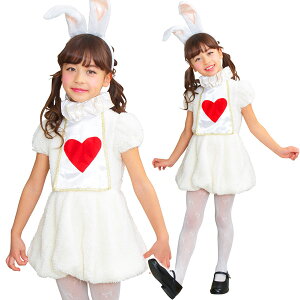 _[rbgK[ LbYynEB  RX`[  ETM LbY n[g qpz}WbNiCg CS8419