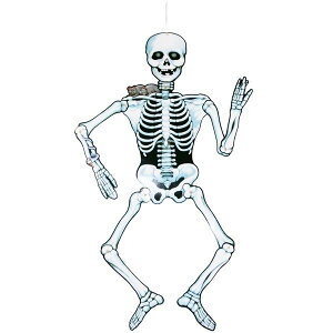 XPgnMOfR[VyKCRc [ hN t oi[ ݂ nEB fBXvC p H  z}WbNiCg RJ802099