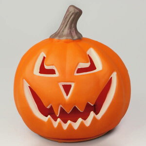 NEWpvL^ SSTCY S14cmynEB ^   ڂ pvL CeA u G ObYz}WbNiCg YI1101