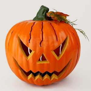 tbVpvL^ STCY S25cmynEB ^   ڂ pvL CeA u G ObYz}WbNiCg YI1126