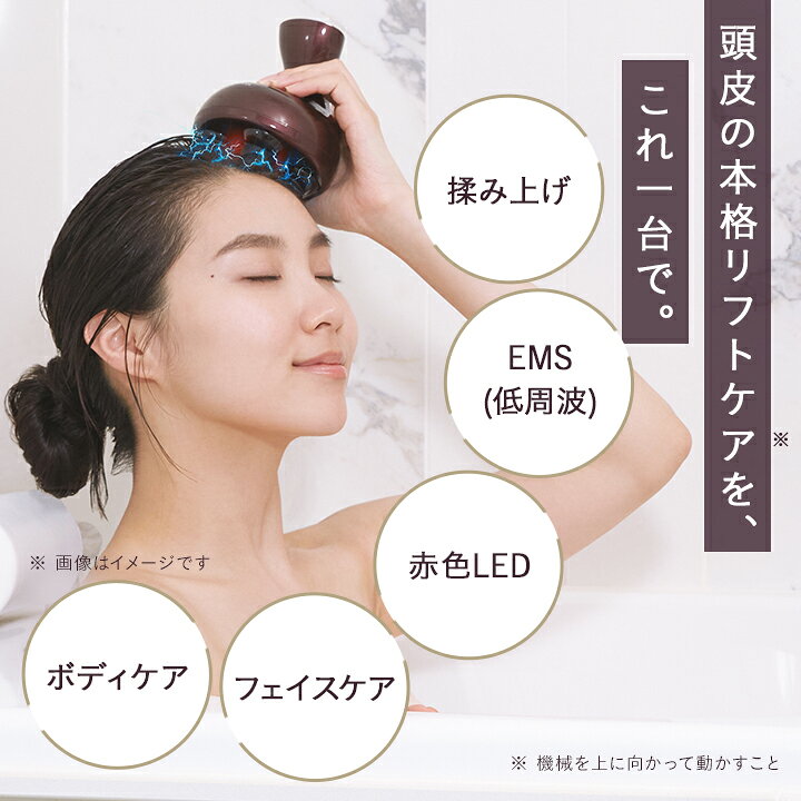 楽天市場】【お買い物マラソン限定 20%ポイント還元】Le ment 
