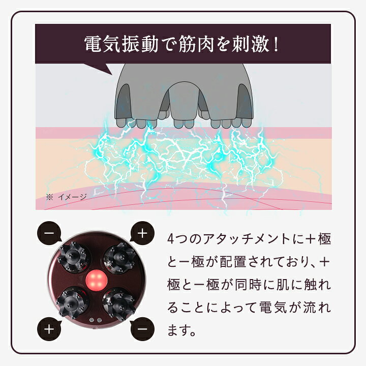 楽天市場】【お買い物マラソン限定 20%ポイント還元】Le ment 
