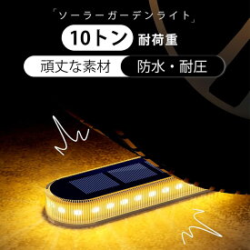 2個/4個/8個セット ソーラーライト 屋外 ガーデンライト IP68防水 30LED 暖色 ソーラー 屋外 階段ライト 庭 ライト 太陽光パネル充電 自動点灯/消灯 玄関先 庭 通路 車道 芝生 駐車場に最適