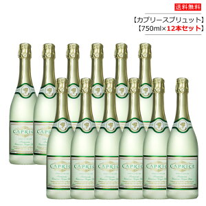 y1{/2{/3{/6{/12{zmAR[ Xp[NOC@Jv[Xubg ALc.0.0 750ml yzցz Mtg p[eB[ AR[t[ q {ih