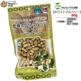 【80g/240g/500g】ホワイトマルベリー(白桑の実) [HALAL/ハラール認証商品] バイオシード 【ポスト投函便】スーパーフード マルベリー 桑の実