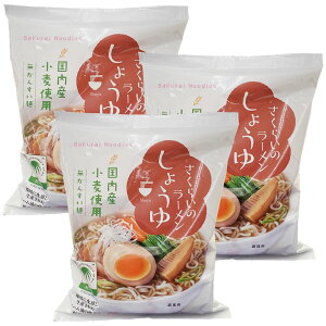 y3ZbgzHi@炢̃[ 傤 99g@񂷂ˁ@(z)