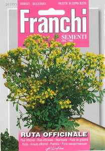܂(3{-4)@[(w[_)̎ RUTA OFFICINALE [117/1] Franchi y|Xgցz DIY Ԓd n[u ()