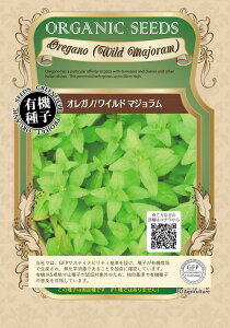 A003 IKm(Ch}W) 0.04g L@q Œ O[tB[hvWFNg y|Xgz