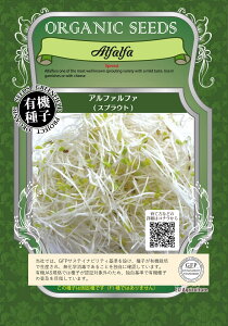 A013 At@t@ (XvEg̎) 10g(3900) L@q Œ ^l   O[tB[hvWFNgy|Xg֑Ώہz