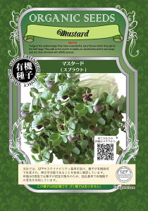 y܃TCYzL@q O[tB[hvWFNg }X^[h (XvEg̎) A266  70g y|Xg֑Ώہz