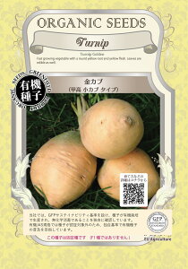 L@q O[tB[h A027 Ju(bJu^Cv) 2.0g(1300) Œ  ^l O[tB[hvWFNg y|Xgz