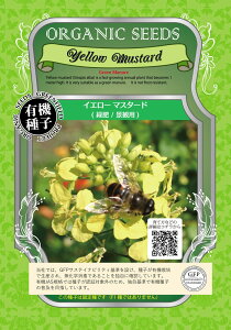 A058 Δ iϗp CG[}X^[h L@q Œ 16g O[tB[hvWFNg y|Xgցz