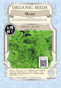 L@q O[tB[h A065 Pbg/bR (xr[[t) 4.0gŒy|Xgz