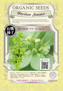 L@q O[tB[h A089 ĂׂЂ/T}[p[XC 0.3g Œ  ^ly|Xgz