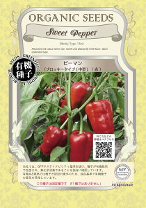 L@q O[tB[h A090 s[}(ubL[^Cv(^)/) 40 Œ  ^ly|Xgz