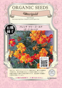 A150 L@q t`}[S[h(_[NIW) Œ 0.06g GREENFIELD PROJECT O[tB[hvWFNg y|Xgցz