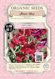 A159 L@q XC[gs[(~bNXJ[) Œ 25 O[tB[hvWFNg y|Xgցz