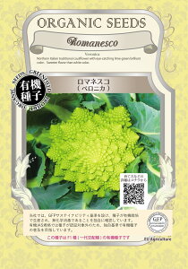 L@q O[tB[h A241 }lXR(xjJ) 10 L@q F1  ^ly|Xgz