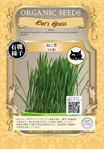 A262 lR ˂ ybgp L@q Œ 1dl() GREENFIELD PROJECT O[tB[hvWFNg y|Xgցz