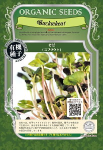 L@q ΂̎ (XvEg̎) A339 15g(500) Œ GREENFIELD PROJECT O[tB[hvWFNgy|Xg֑Ώہz