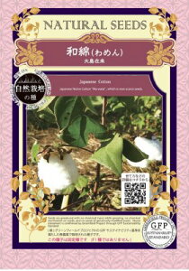 A349 L@q a ߂ 哇ݗ Œ 15 GREENFIELD PROJECT O[tB[hvWFNg y|Xgցz