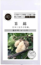 A457 有機栽培の種 茶綿 3.5g GREENFIELD PROJECT グリーンフィールドプロジェクト 【ポスト投函便】