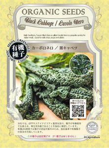 L@q O[tB[h A459 J[{l/Lxc 180 Œ ˁy|Xgz