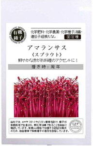 L@q A}TX (XvEg̎) A514 1.6g Œ GREENFIELD PROJECT O[tB[hvWFNgy|Xg֑Ώہz