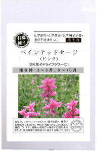 L@q O[tB[h A552 yCebhZ[W(sN) 200 Œ ^ly|Xgz