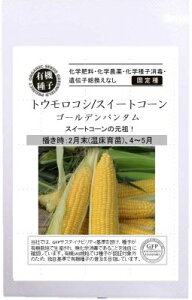 yyVX[p[SALE(L/2025N11)zA559 gERV/XC[gR[(S[fo^) 30 L@q Œ  ^l O[tB[hvWFNg y|Xgz