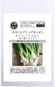 A578 lM ˂ K XvOIjI(zCgX{) 1.0g L@q Œ  ^l O[tB[hvWFNg y|Xg֑Ώہz